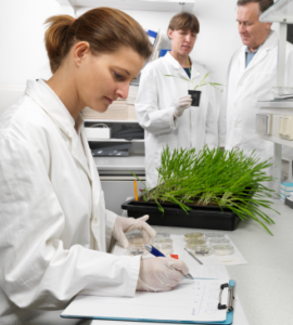 Technician working in laboratory